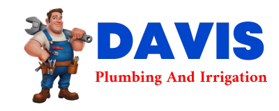 Trusted plumber in LAVINA